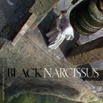 Черный нарцисс