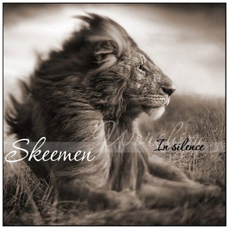 Skeemen. Альбом: В тишине