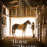 Небесный конь (2018)