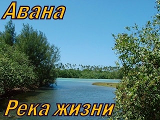 Авана. Альбом: Река Жизни (2006)