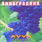 AVVA. Альбом: Виноградник
