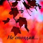 Йоган Дик. Альбом Не опоздай