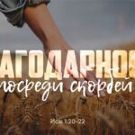 Алексей Коломийцев — Благодарность посреди скорбей