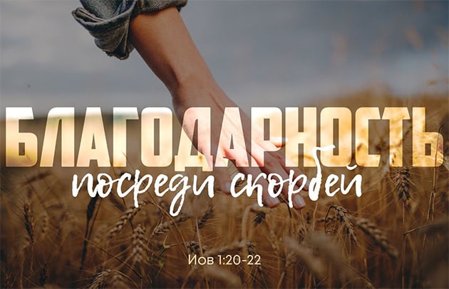 Алексей Коломийцев — Благодарность посреди скорбей