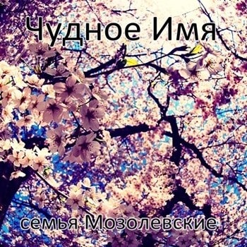 Мозолевские. Альбом Чудное Имя