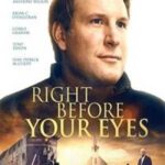 Прямо перед глазами (2019)